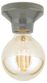 Orion - Plafoniera FROST 1xE27/60W/230V grigia