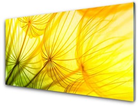 Pannello paraschizzi cucina Fiori di tarassaco Natura 100x50 cm