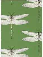 Harlequin Tapete Demoiselle - Kelly/ First Light/ Blush