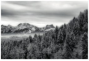 Carta da parati – Montagne ghiacciate in bianco e nero