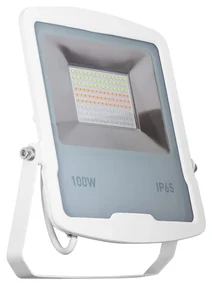 Faro proiettore LED RGB 100W IP65 con Telecomando - Bianco Colore RGB