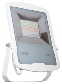 Faro proiettore LED RGB 100W IP65 con Telecomando - Bianco Colore RGB