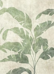 Coordonne Carta da parati panoramica Leaves Shadow - Leaves