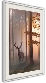 Poster  Forest Seclusion  Cornice Quadri Cornice d'oro con passe-partout, Larghezza x Altezza Home decor 30x45