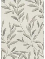 Coordonne Carta da parati Olivetum - Nacre
