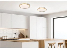 Plafoniera LED GANDAVA LED/24W/230V