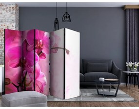 Paravento Pink Orchid II [Room Dividers]