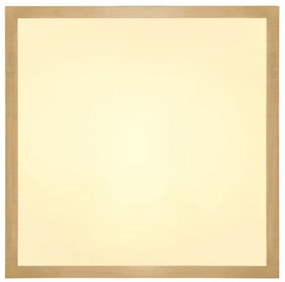 Globo 12382-15 - Plafoniera LED TIBEY LED/15W/230V 25x25 cm