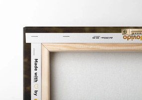 Quadro su tela – Fotocamera antica in seppia