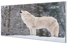 Quadro acrilico Wolf Winter Forest 100x50 cm