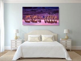 Quadro su tela – Zebre in safari