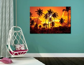 Quadro su tela – Palme di cocco sulla spiaggia