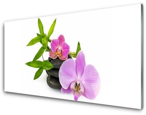 Quadro in vetro acrilico Pianta dell'orchidea del fiore 100x50 cm