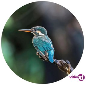 WallArt Cerchio Carta da Parati The Kingfisher 142,5 cm