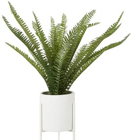 Felce artificiale (altezza 56 cm) Fiori - Premier Housewares