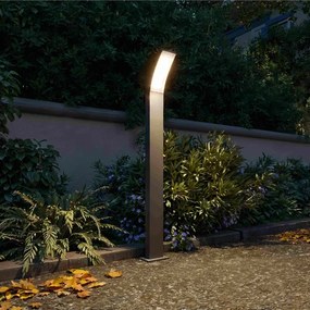 Philips - Lampada da esterno LED SPLAY LED/4,3W/230V 2700K 96 cm IP44