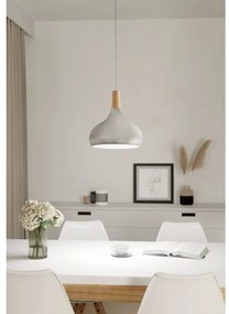 Eglo 901181 - Sospensione a cavo SABINAR 1xE27/60W/230V Ø28 cm argento