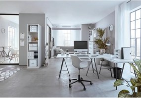 Organizer per cassetti in cartone Click&amp;Store - Leitz