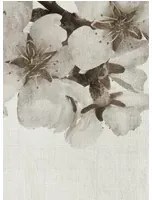 Coordonne Wandbild Big Random Flora - Beige