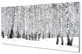 Pannello paraschizzi cucina Inverno neve-betulle 100x50 cm