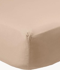 Lenzuolo con angoli in raso di cotone Brown Caffelatte