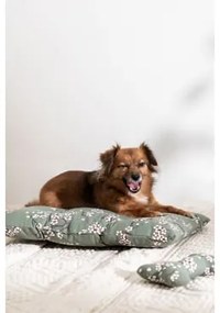 Set di accessori per animali domestici Sakura 40x55 cm - Sklum