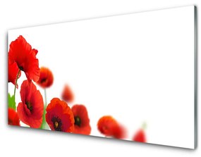 Pannello paraschizzi cucina Papaveri rossi della natura 100x50 cm
