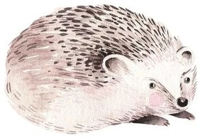 Stampa su tela – Riccio adorabile