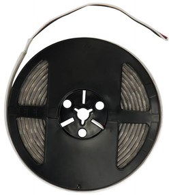 Striscia LED Professional - RGB + CCT (bianco Variabile)  - IP67 - 20W/m - 5m - 24V Colore RGB+CCT