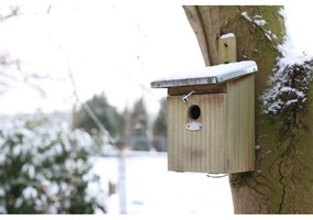Cassetta di legno per cinciallegre - Esschert Design