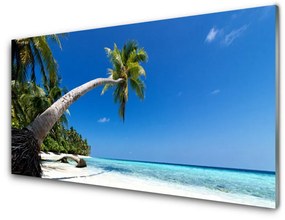 Quadro acrilico Paesaggio del mare di Palm Beach 100x50 cm
