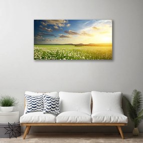 Quadro su tela Paesaggio di fiori di prato 100x50 cm