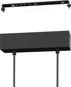 Eglo 900489 - Lampadario a sospensione con filo LED dimmerabile PANAGRIA 2xLED/13W/230V