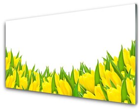 Quadro acrilico Fiori Natura Tulipani 100x50 cm