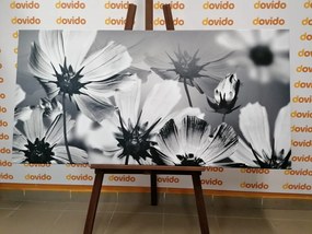 Quadro su tela – Fiori da giardino in bianco e nero