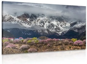 Stampa su tela – Paesaggio montano unico