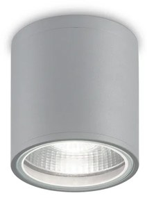 Plafoniera Moderna Gun Alluminio Grigio 1 Luce Gu10