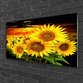 Quadro in vetro Pianta di girasole 100x50 cm