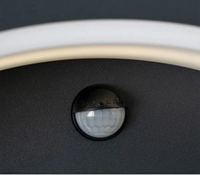 Brilagi - Lampada da parete LED esterna con sensore ARCELO LED/8W/230V IP54