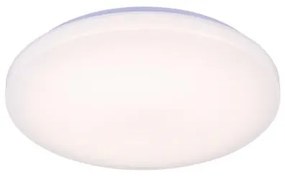 Plafoniera LED dimmerabile con controllo vocale OPAL LED/48W/230V + +TC