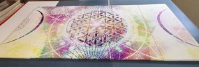 Quadri 5 pezzi – Mandala in versione interessante