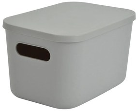 Scatola con coperchio grigia in plastica 24,5x18x15 cm – Homéa