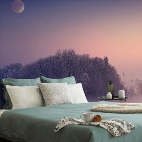 Carta da parati – Luna piena sopra il villaggio