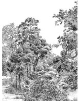 Isidore Leroy Carta da parati panoramica Domaniale - Panel C