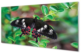 Quadro acrilico Foglie di farfalla colorate 100x50 cm