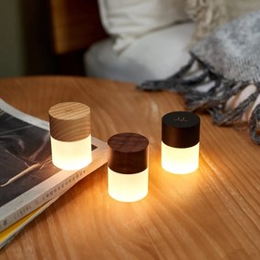 Decorazione luminosa di colore naturale con ricarica USB ø 4,5 cm Lemelia – Gingko