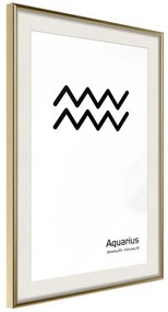 Poster  Zodiac: Aquarius II  Cornice Quadri Cornice d'oro con passe-partout, Larghezza x Altezza Home decor 20x30