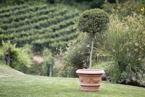Vaso per piante e fiori CONCA in terracotta terracotta H 41 cm Ø 48 cm