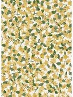 Coordonne Carta da parati Ana - Curcuma