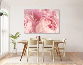Stampa su tela – Petali di fiore